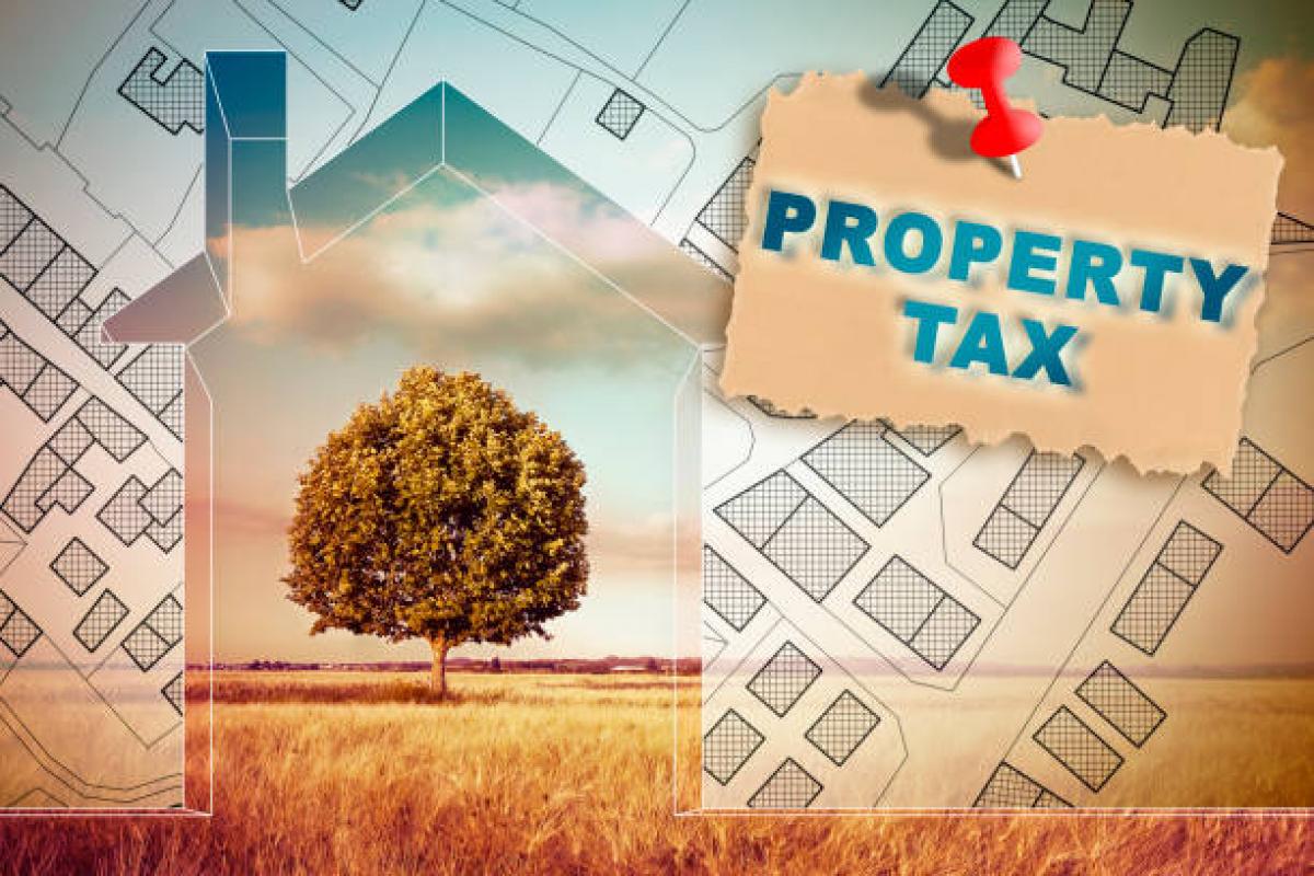 Property Tax Services